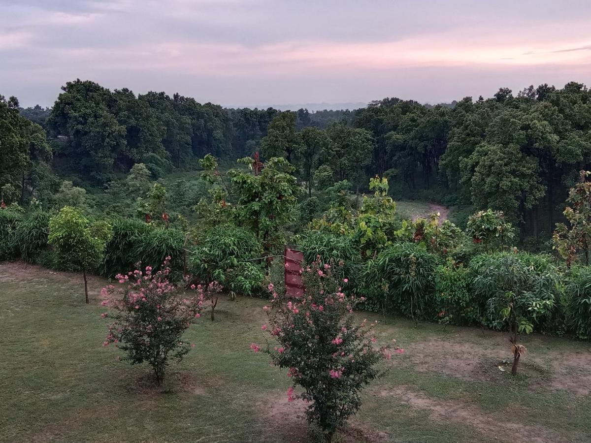 Aar Resort & Spa Jhājra Zewnętrze zdjęcie